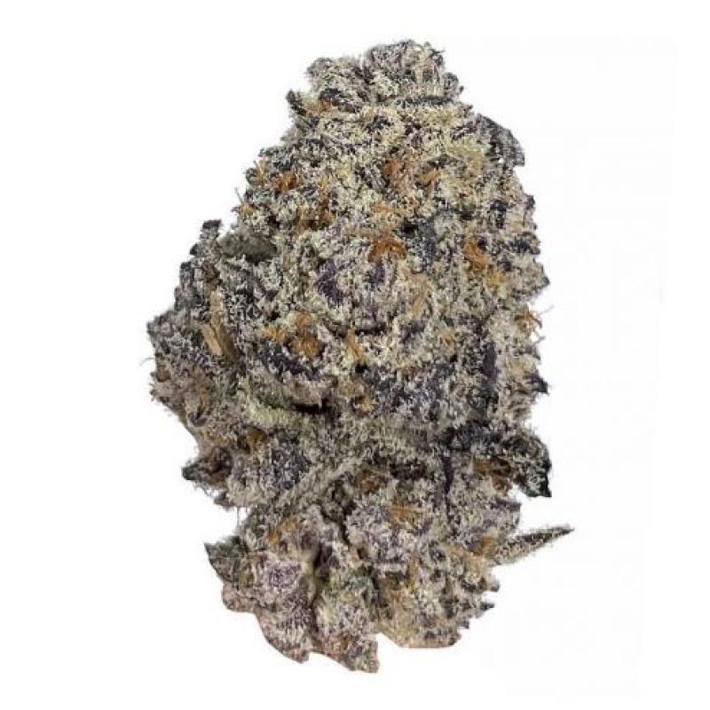 Oreoz 5 seed pack